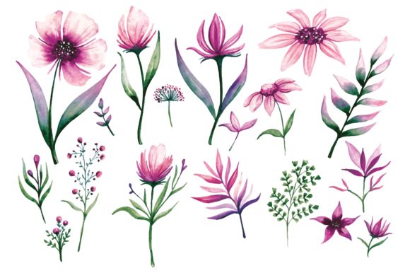 Download Floral Design Elements in Watercolor - Floral design elements Collection