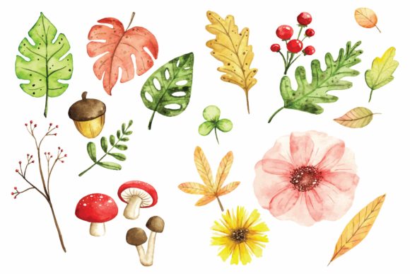 Download Floral Design Elements in Watercolor - Floral design elements Collection