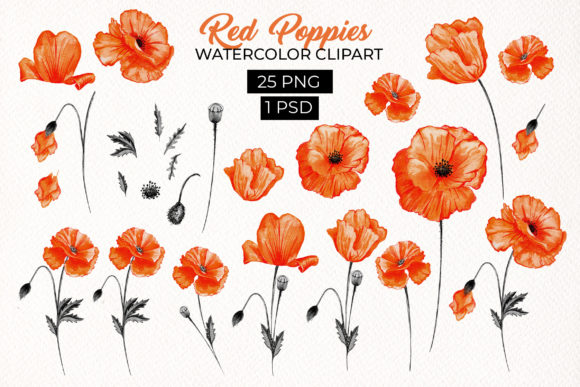 Download Red Poppies Floral Design Elements - Floral design elements Collection